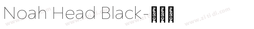Noah Head Black字体转换
